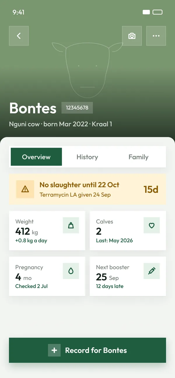Animal screen: Bontes, with weight, calves and a withdrawal warning